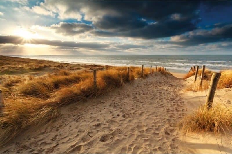 Schilderij Sunset over sand path MATDIB551 AluArt