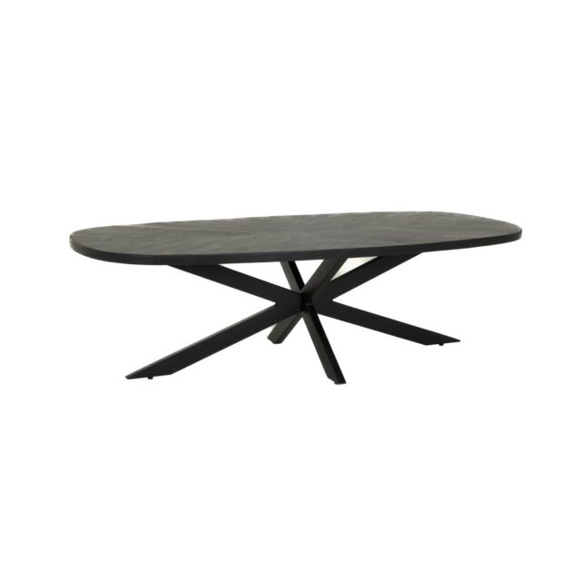 Tower Living salontafel Silvi 130x70x40 cm mangohout zwart