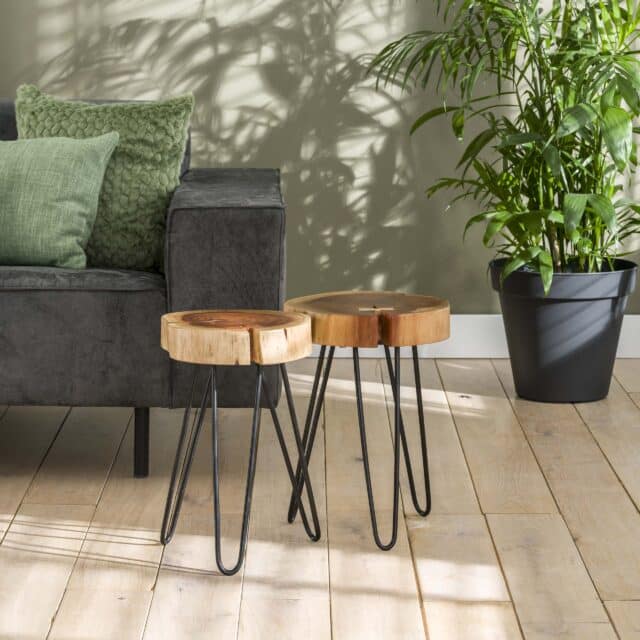 Zijlstra Bijzettafel Trunk 32cm Verpakt Per 2 Massief Acacia